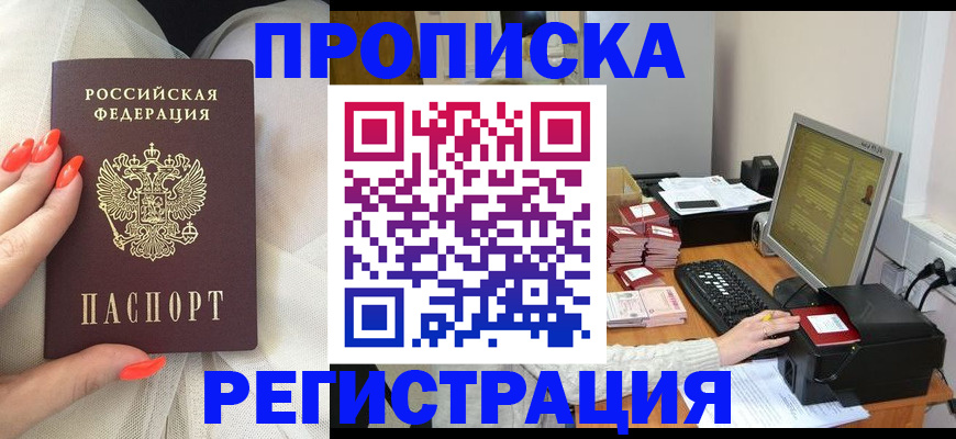 где прописаться в Шали