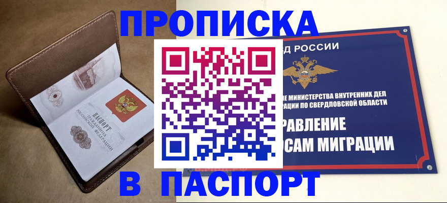 где прописаться в Шали